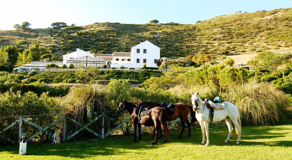 Hotel Fuente Del Sol アンテケラ エクステリア 写真